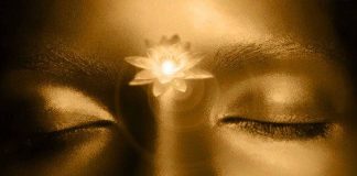 Le Créateur – Volontaire ?