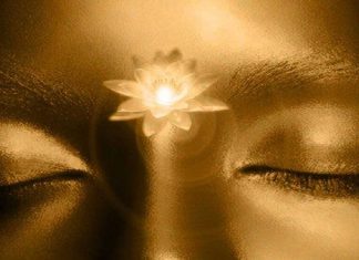 Le Créateur – Volontaire ?