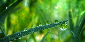 Archange Raphaël – L’ADN est une énergie de Lumière Cristalline