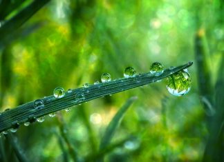 Archange Raphaël – L’ADN est une énergie de Lumière Cristalline