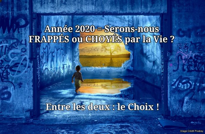 Année 2020