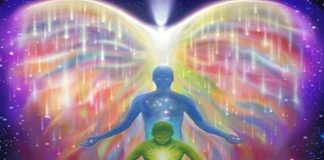 Le Créateur – L’espace pour ressentir