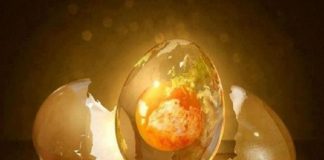 Le Créateur – Attendez-vous à l’inattendu