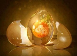 Le Créateur – Attendez-vous à l’inattendu