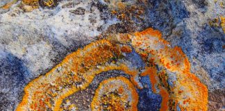 Combien de temps encore voulez-vous tourner en rond ?