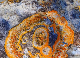 Combien de temps encore voulez-vous tourner en rond ?