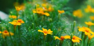 Laisser la logique de l’ego s’effondrer