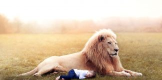 Le retour à l’état d’innocence…