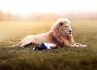 Le retour à l’état d’innocence…