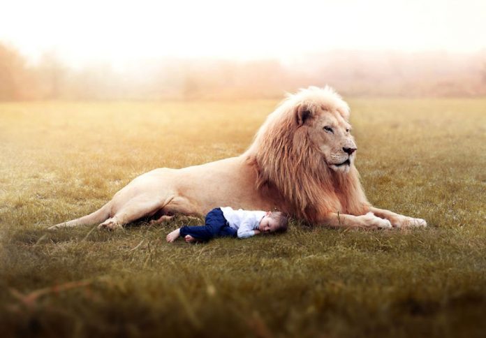 Lion - enfant
