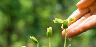 Cesser de Diriger la Deuxième Vague