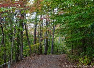 Trouver vos sentiments préférés….