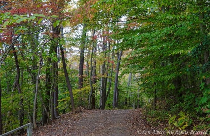Trouver vos sentiments préférés