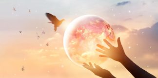 Méditation mondiale – Message de la Terre