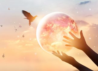 Méditation mondiale – Message de la Terre