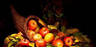 Tout ce dont vous avez besoin est sur votre chemin