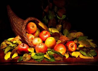 Tout ce dont vous avez besoin est sur votre chemin