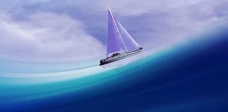 Les Cycles du Flux de la Vie