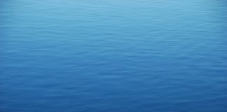 En attendant la réponse de l’Amour