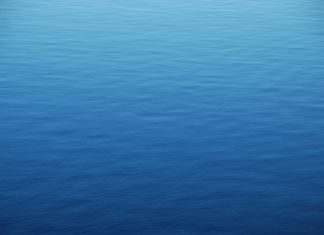 En attendant la réponse de l’Amour