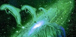 Un cercle des enfants de Vénus parle aux enfants de la Terre