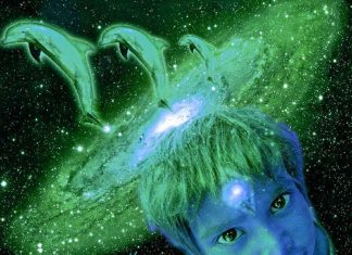 Le saut Quantique des Familles