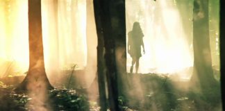 Un Message aux Travailleurs de Lumière – 20 décembre 2019