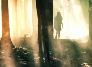 Le Créateur – La Véritable Beauté…