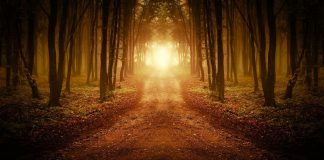 Le Créateur – Dans le but de…