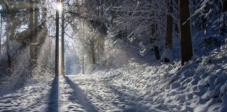 Une célébration de la Lumière dans l’obscurité
