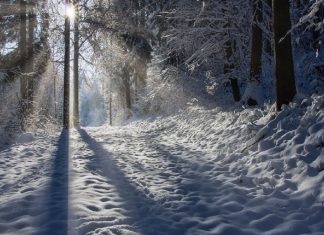 Une célébration de la Lumière dans l’obscurité
