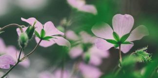 Une véritable responsabilité