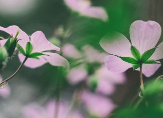 Une véritable responsabilité