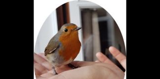 Séance offerte par ANNA – L’Amour de Soi enrichira l’humanité