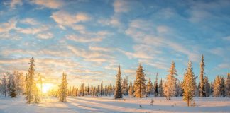 Christ’Al Chaya – Lettre Mensuelle – Décembre 2019