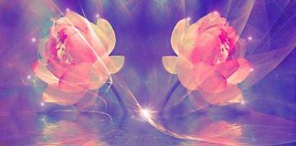 Divisions et Connexions