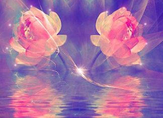 Divisions et Connexions