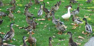 Plans de voyages et choix actuels