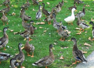 Plans de voyages et choix actuels