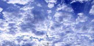 Cherchez et donc, trouvez…