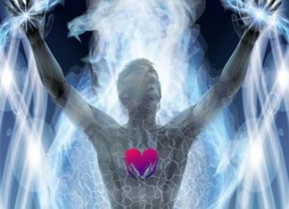 Le Créateur – Apprenez de vos expériences