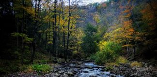 Doucement dans le courant