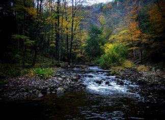 Doucement dans le courant