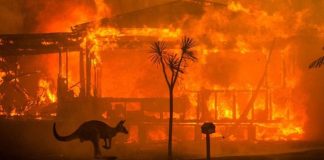 Mère Divine – L’Australie et l’appel à l’amour