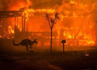 Mère Divine – L’Australie et l’appel à l’amour