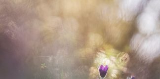 Le Créateur – La Magie opère