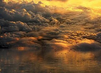 Le poids des Convictions