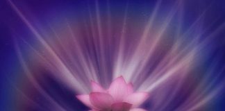 Le Créateur – Une réalisation