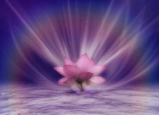 Le Créateur – Une réalisation