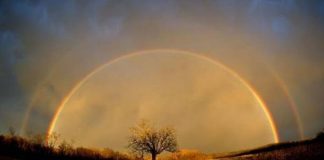 Commandant Ashian : Nouveaux horizons